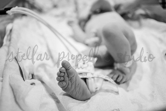 Francesca Birth-6640