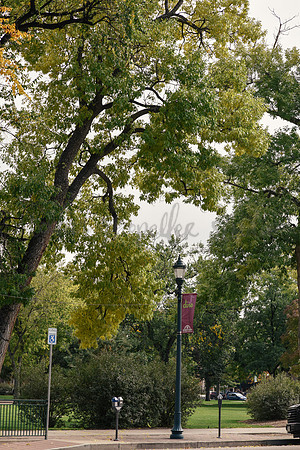 Downtown Fall 2017-6159