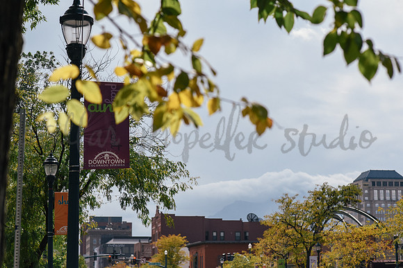Downtown Fall 2017-6161