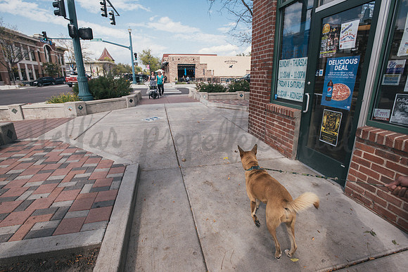 Downtown Fall 2017-6338