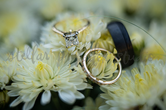 Colin + Kristi-8994