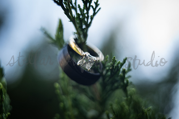Colin + Kristi-9008