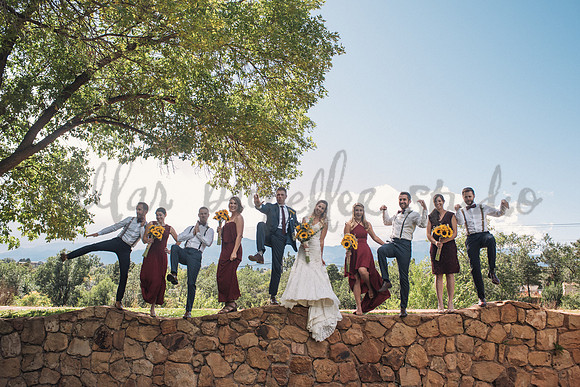 Wedding Party-9