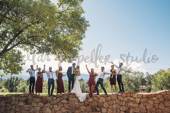 Wedding Party-4