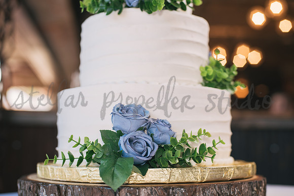 J+M Reception-3091