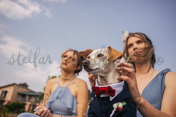 Trevin + Jeanine-8322