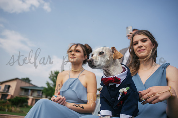 Trevin + Jeanine-8321