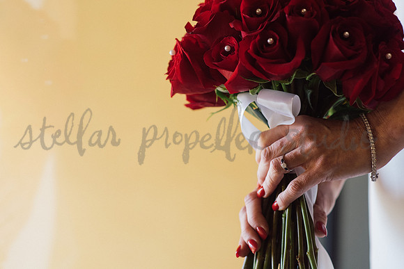 Trevin + Jeanine-6285