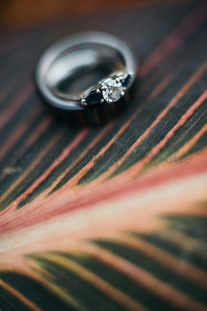 Trevin + Jeanine-7111