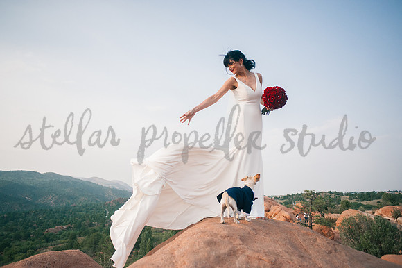 Trevin + Jeanine-8579