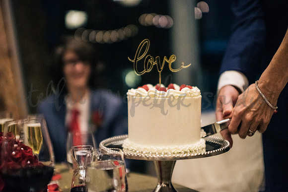 Trevin + Jeanine-7147
