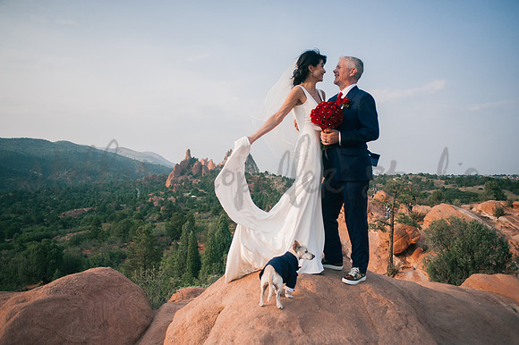 Trevin + Jeanine-8557