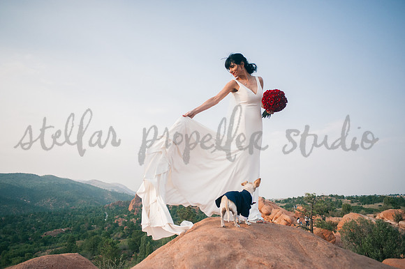Trevin + Jeanine-8578