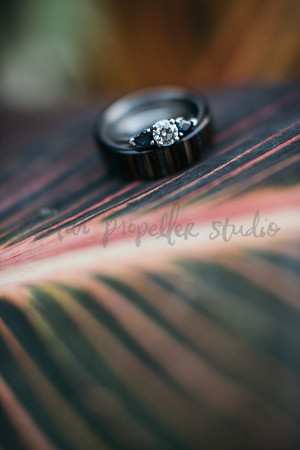 Trevin + Jeanine-7114