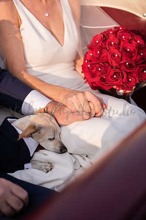 Trevin + Jeanine-6763