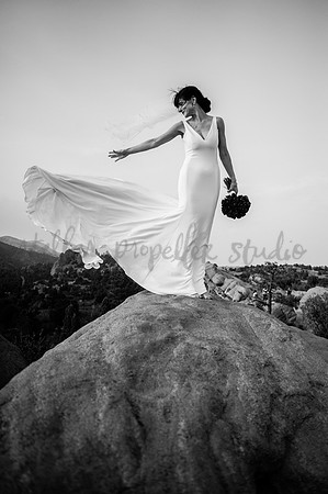 Trevin + Jeanine-8587-2