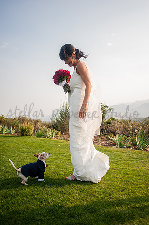 Trevin + Jeanine-8353