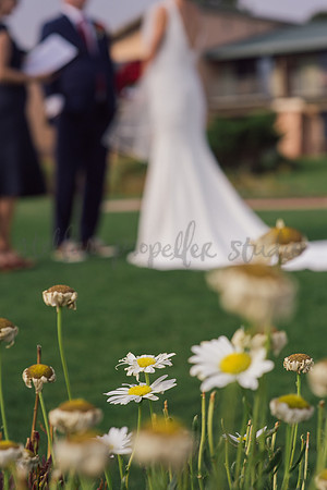Trevin + Jeanine-6379
