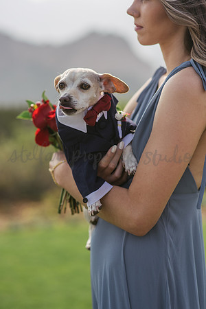 Trevin + Jeanine-6337