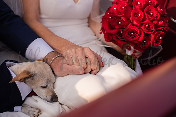 Trevin + Jeanine-6761