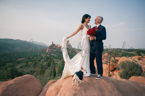 Trevin + Jeanine-8558