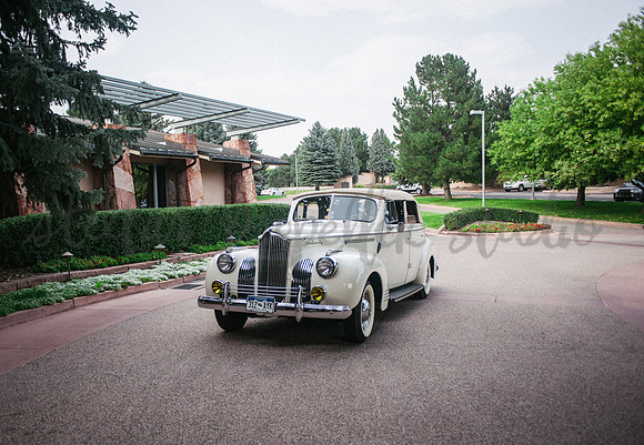 Trevin + Jeanine-8251