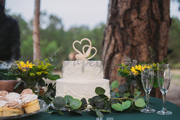 Michele + Scott-4199