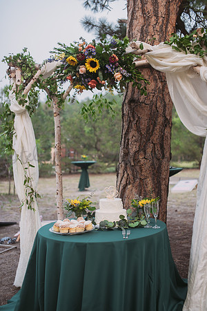 Michele + Scott-4197
