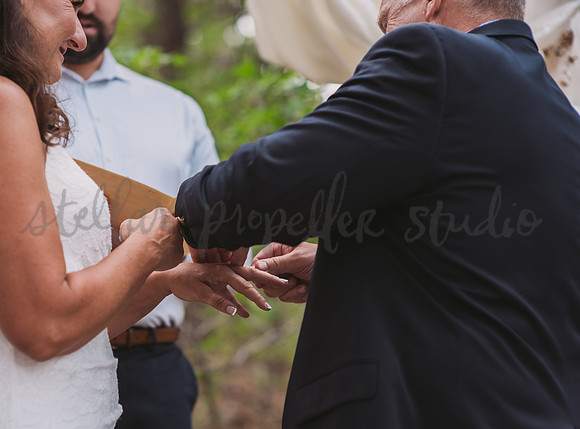 Michele + Scott-3642