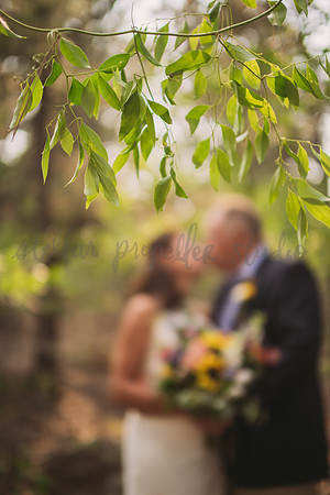 Michele + Scott-3846