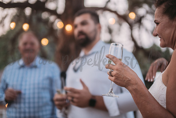 Michele + Scott-4262
