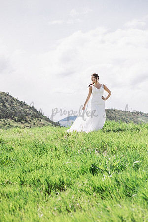 N+P Wedding Party-50