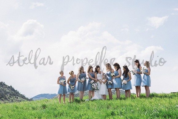 N+P Wedding Party-58