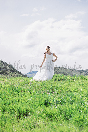 N+P Wedding Party-49