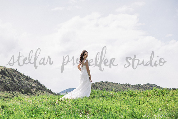 N+P Wedding Party-51