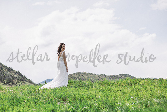 N+P Wedding Party-52
