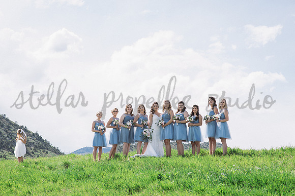 N+P Wedding Party-57
