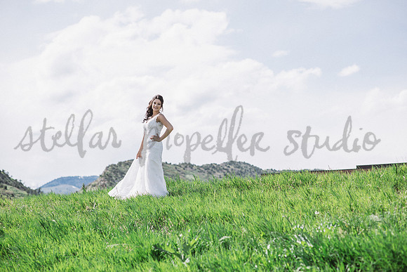 N+P Wedding Party-53