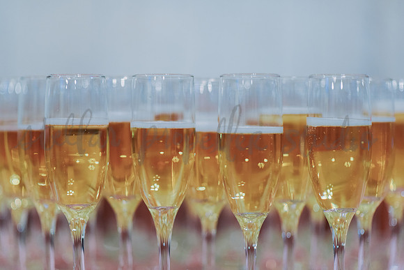 C+R Reception-2167