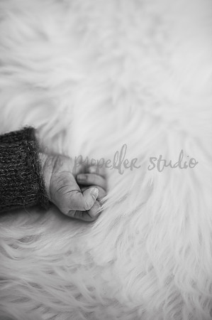 Jemma -0881-2