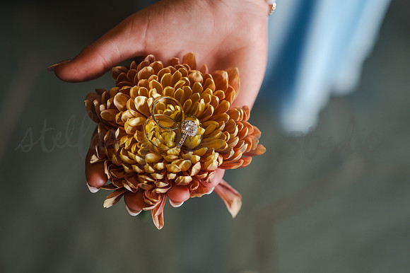 Anna + Tom-1219